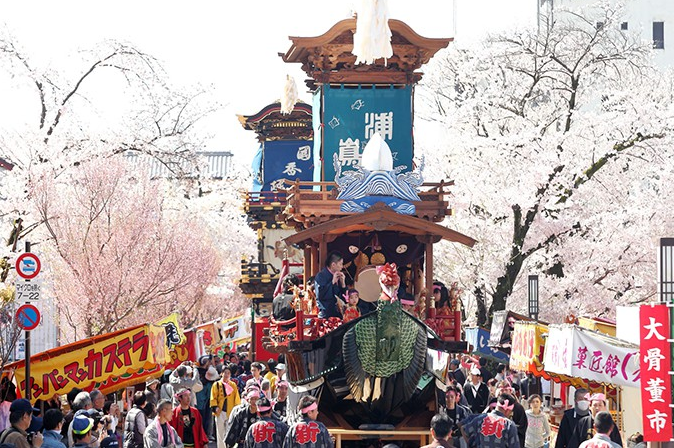 豪華な車山とお祭りを彩る桜 犬山祭 愛知県犬山市 Matsuris マツリス